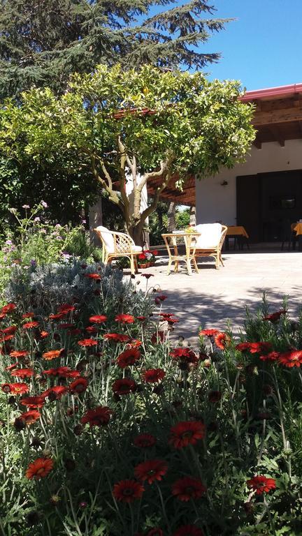 Farm stay Monte Degli Angeli Serrano
